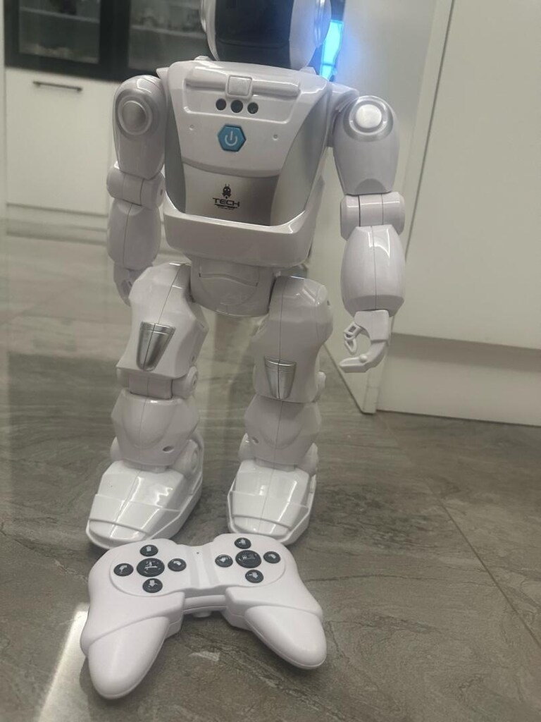 pilli robot - 2