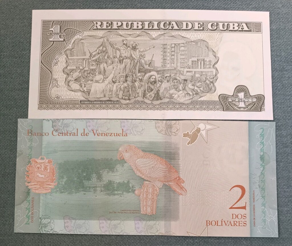 koleksiyon para hediyelik - 2