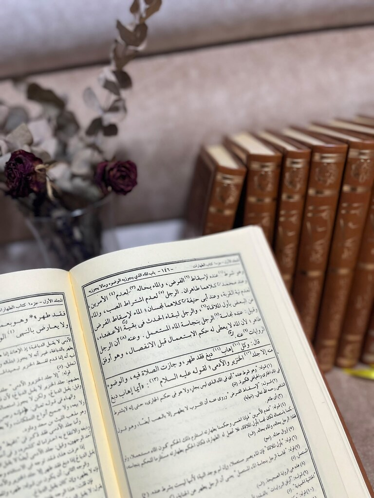 el-Hidaye (Leknevi Haşiyesi ile birlikte) 8 Cilt (Deri) - 4