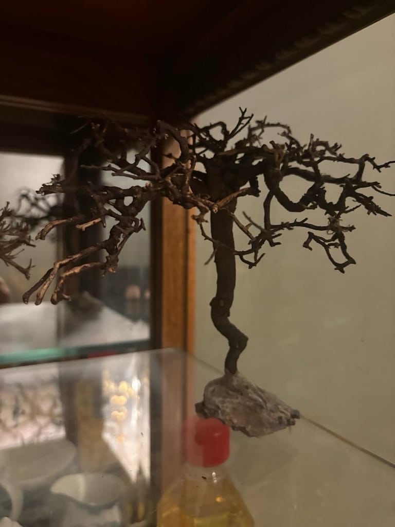 ihtal akvaryum - 12