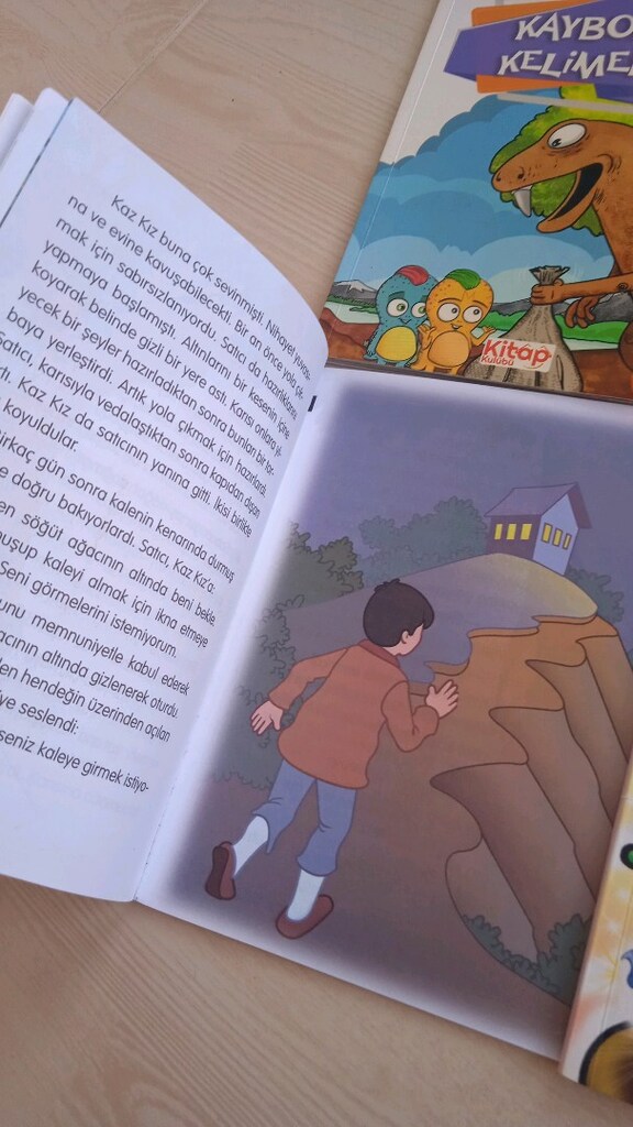 11 adet karışık kitap 2 ve 3 sınıf için - 4