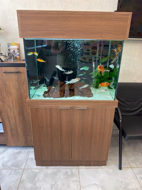 GÖZLERE ŞENLİK AKVARYUM