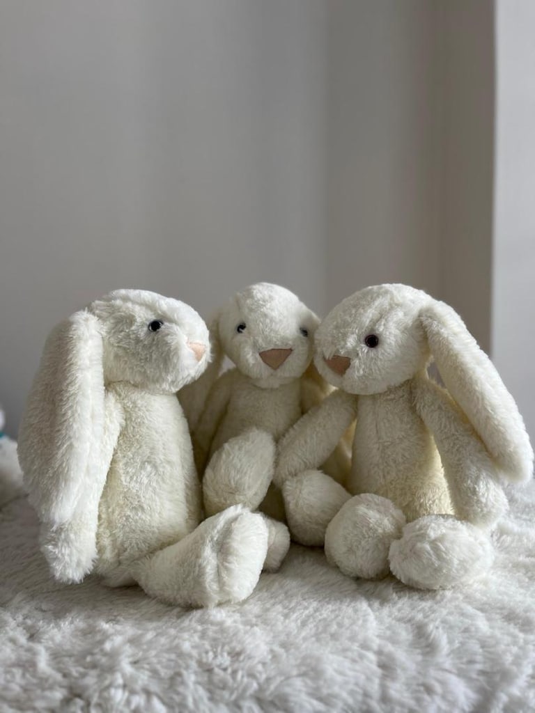 PELUŞ TAVŞAN - 9
