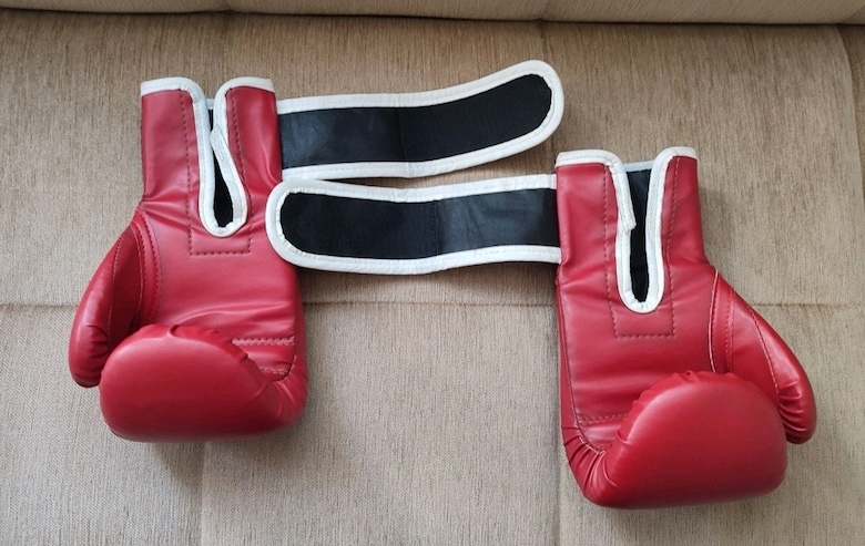 The Iron Profesional 10 OZ boks eldiveni temizdir - 5