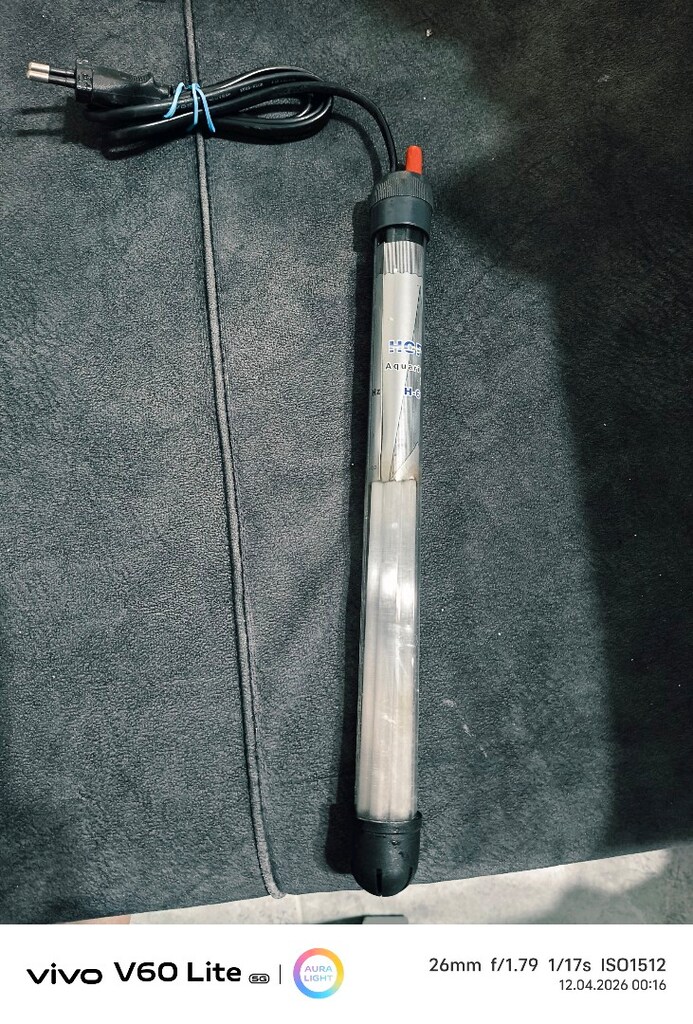 akvaryum ısıtıcısı 100w hopar - 2