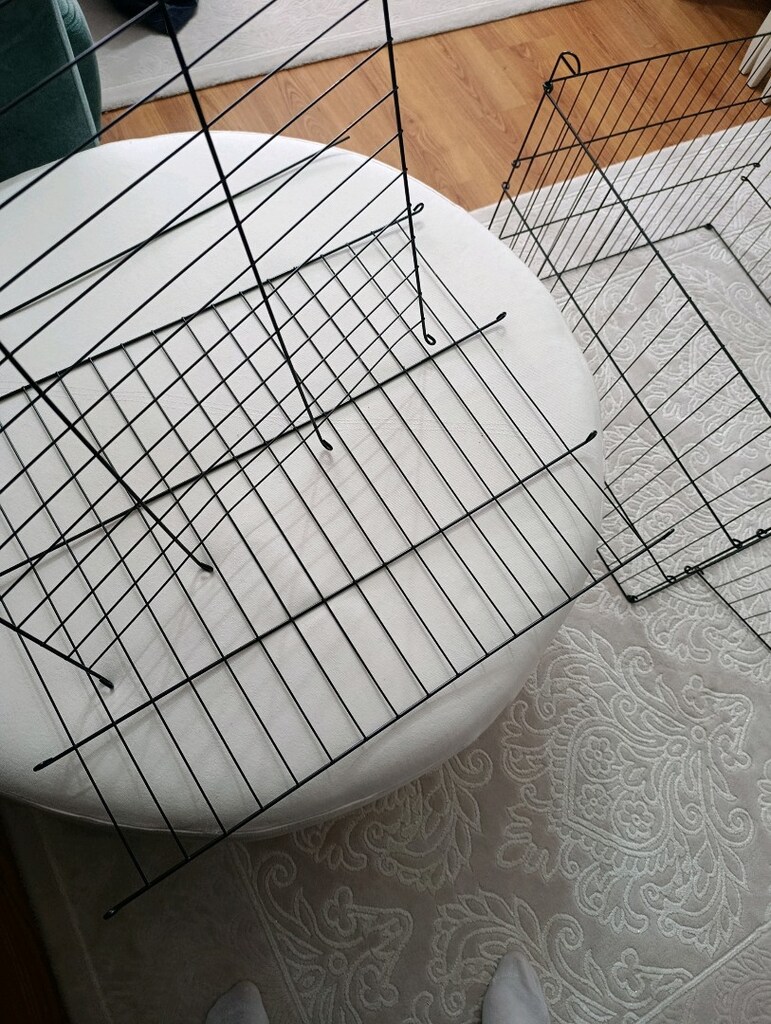 KÖPEK ÇİTİ - 3