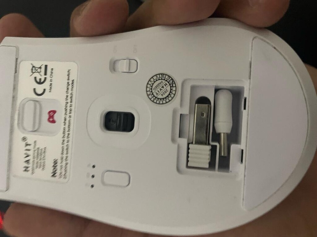 mouse - 8