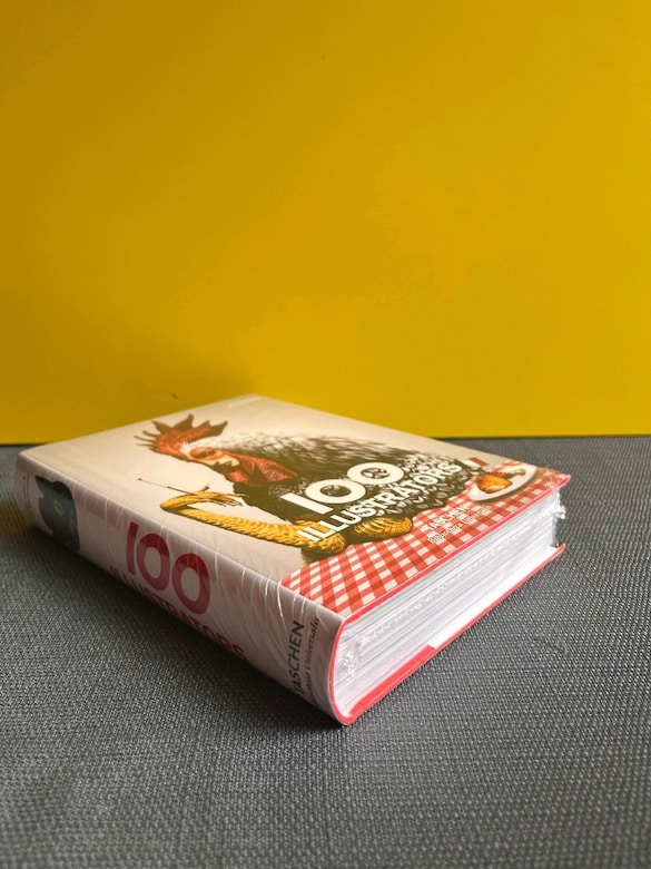 100 Illustrator İngilizce Sanat Tasarim Kitap Art Book - 3