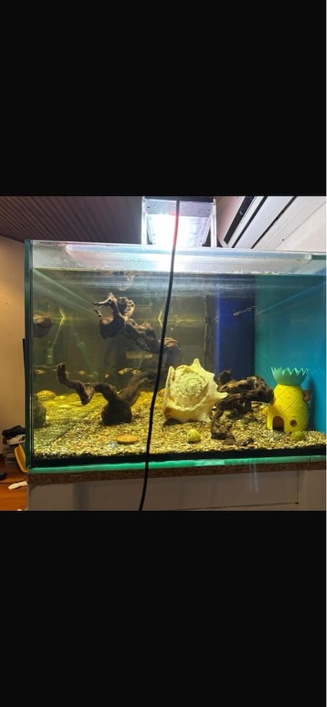 Full donanımlı akvaryum - 3