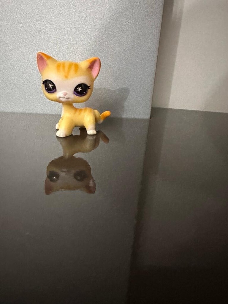 Lps Shorthair miniş - 2