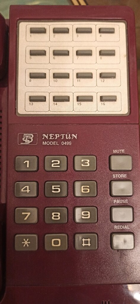 bts Neptün model nostaljik ev teli - 3
