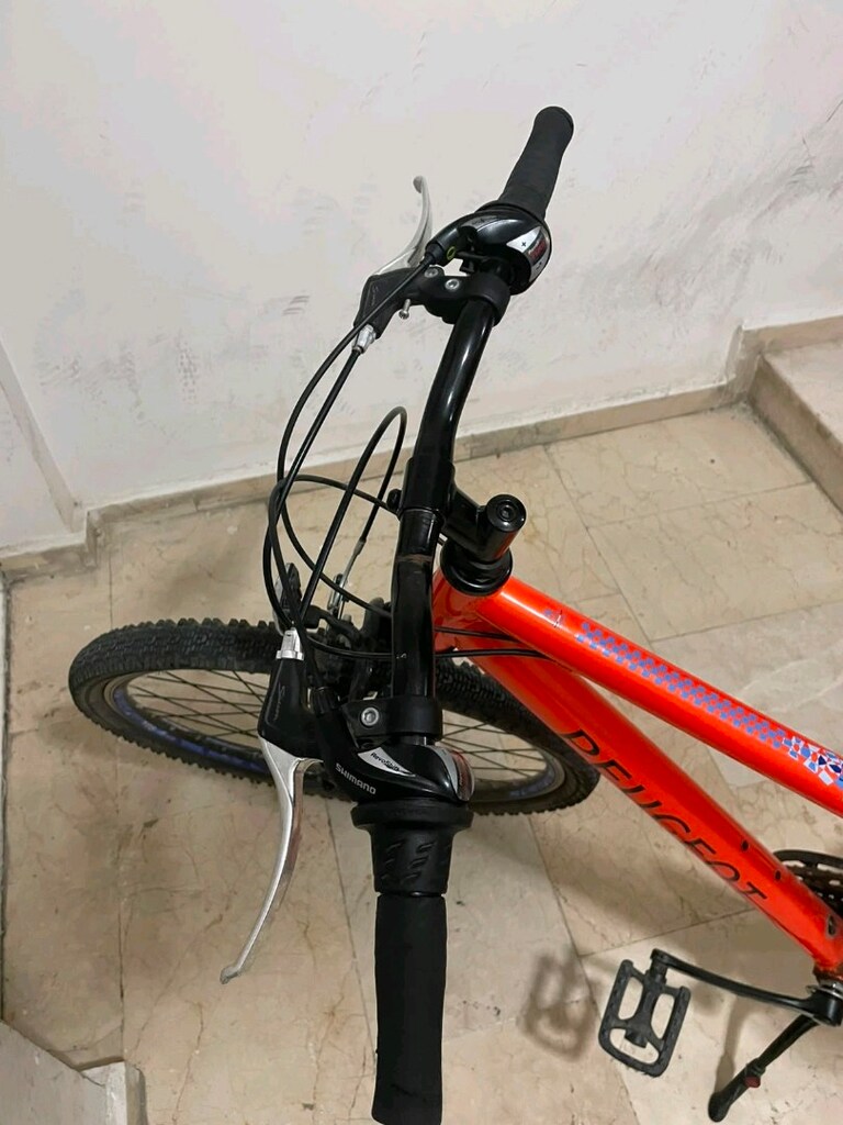 peugeot bisiklet - 2