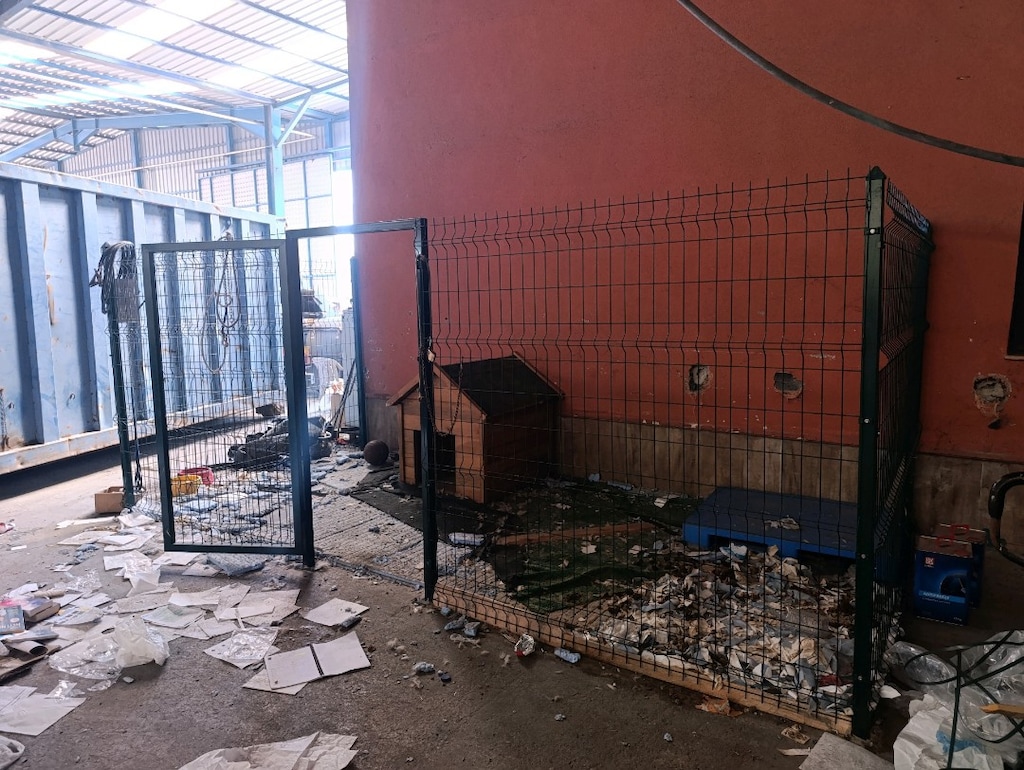 köpek kulübesi - 3