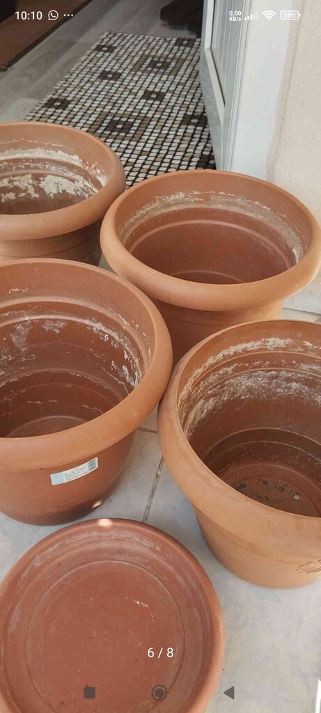büyük boy saksı - 5