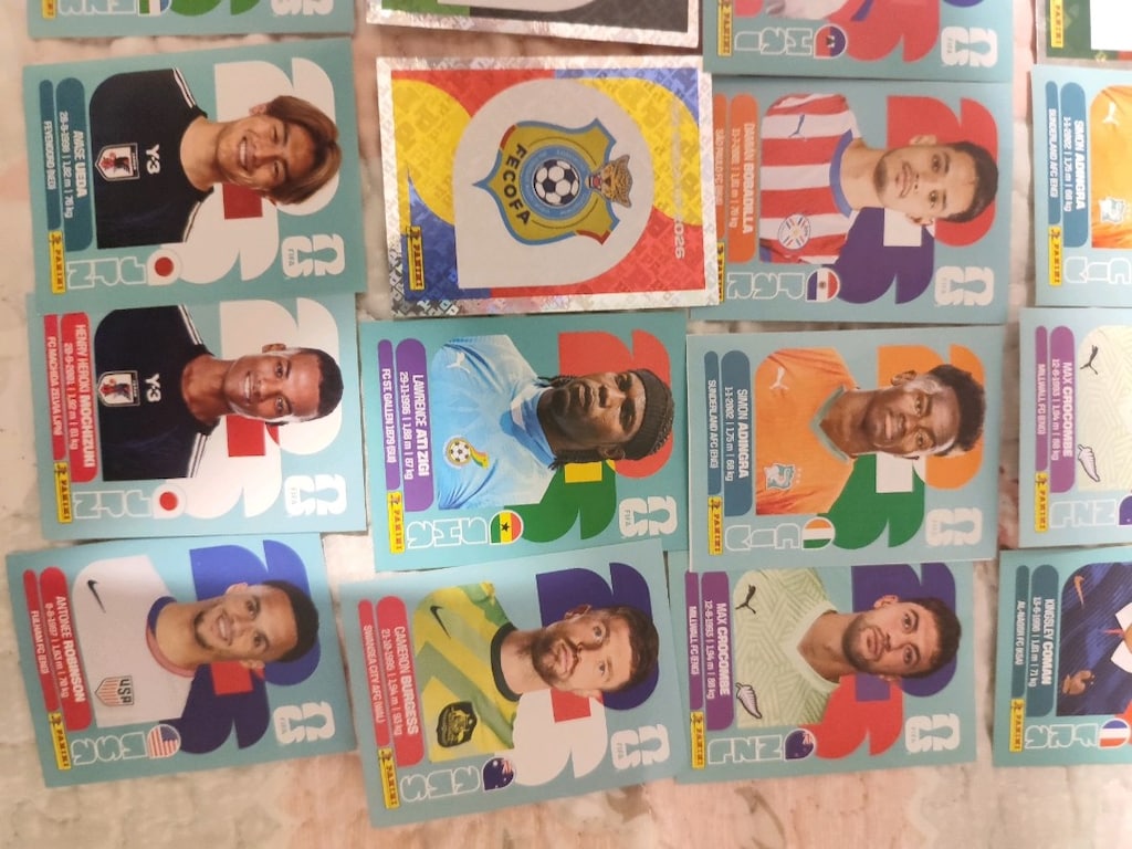 panini dk 2026 fazla etiket - 4