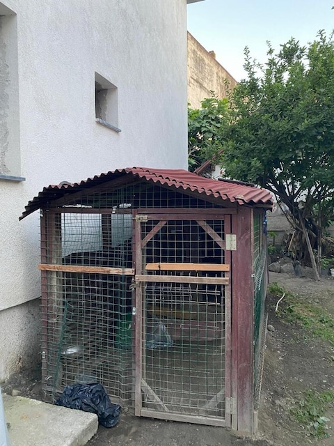 köpek kulübesi