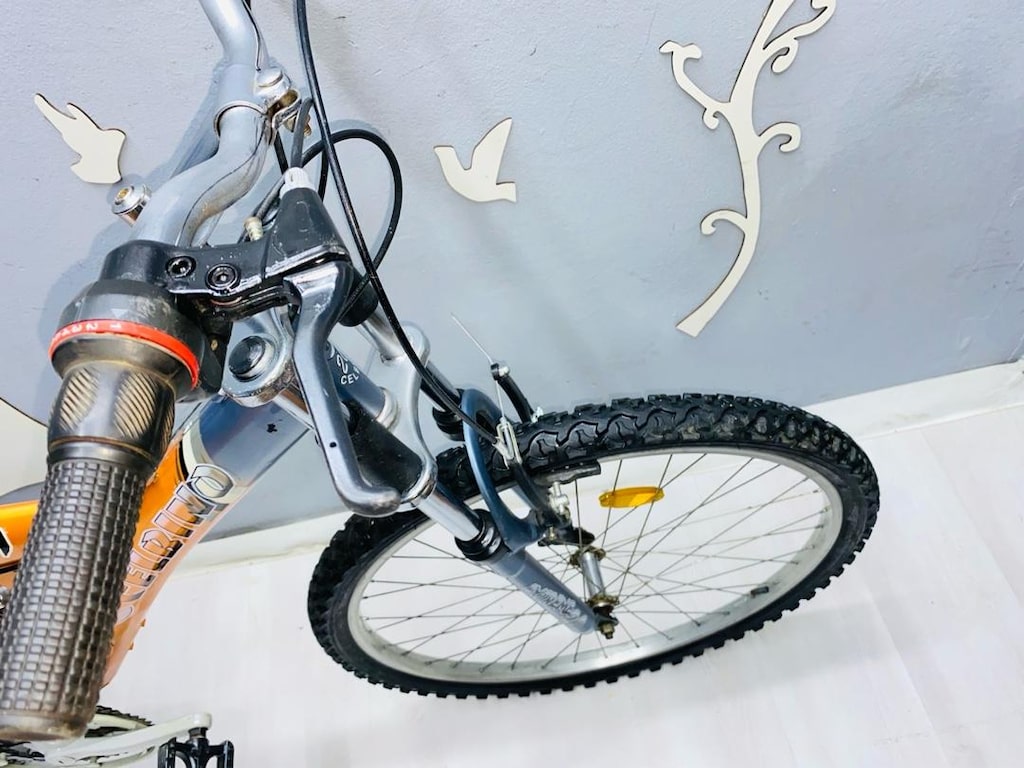 bisiklet - 8