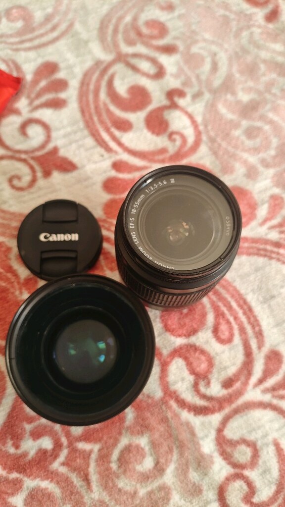 canon 60d - 6