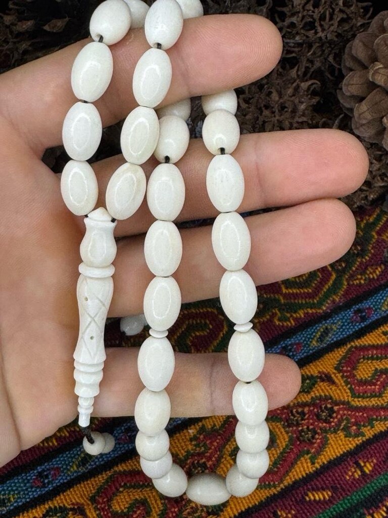 iriboy deve kemiği - 2