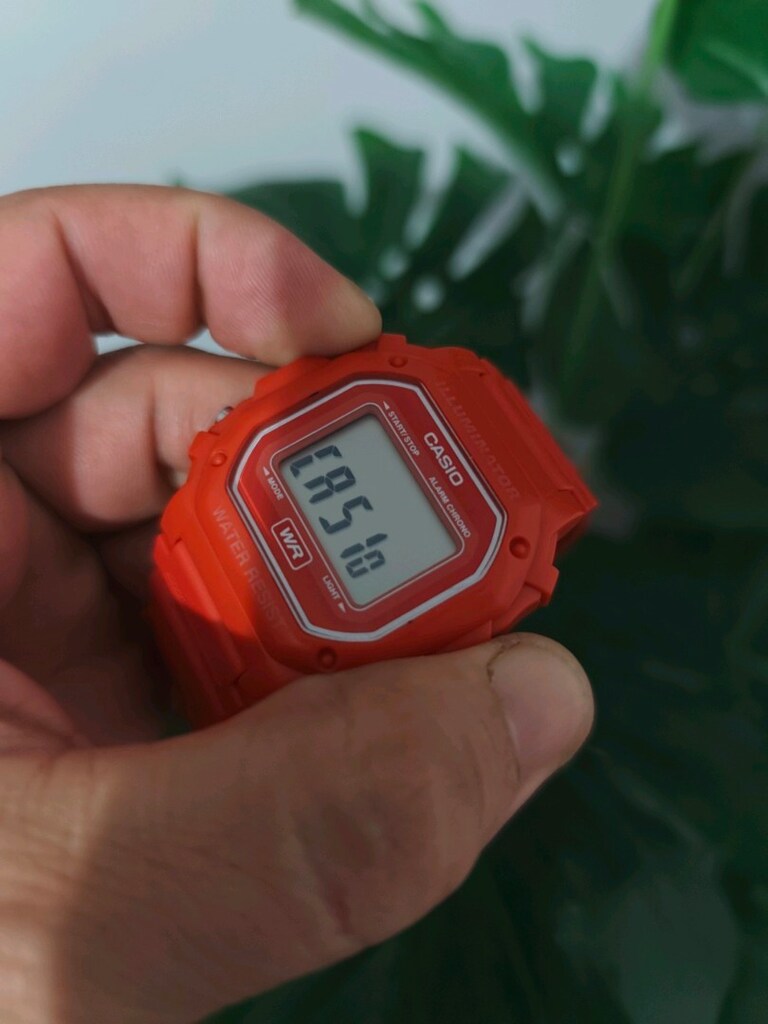 Orjinal Casio F-108WH Erkek Saat Nar Çiçeği - 5