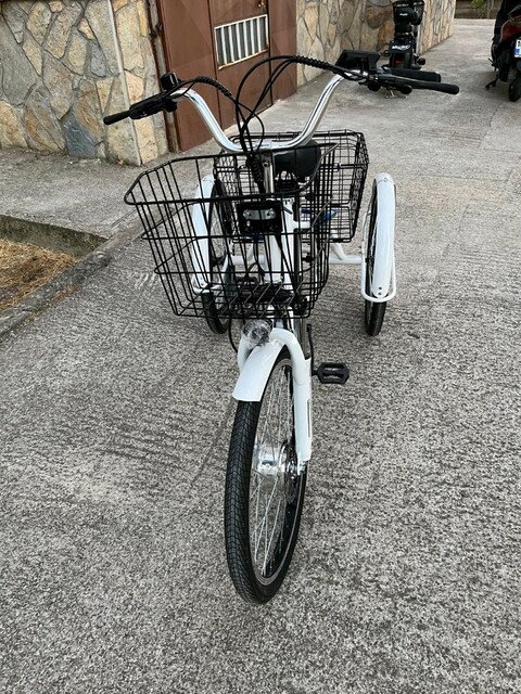 3 tekerlekli elektrikli bisiklet