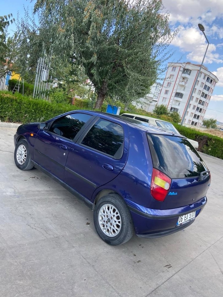 palio - 3