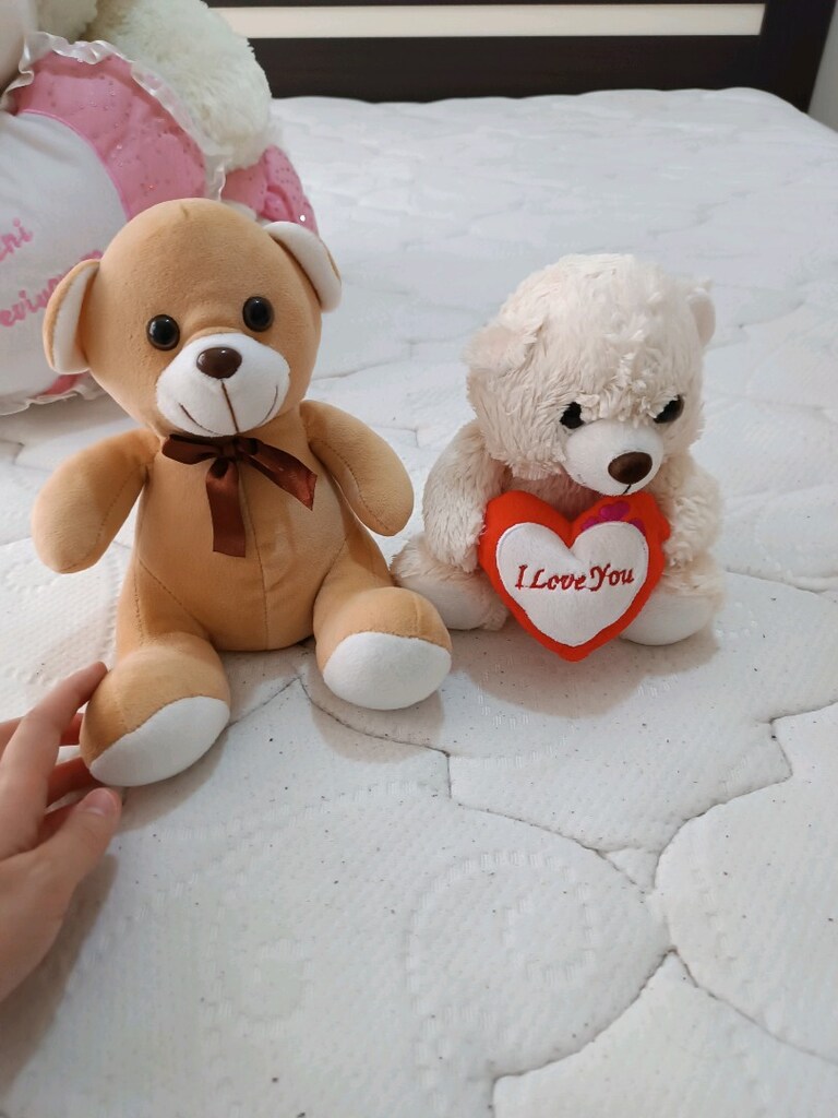 Sevimli renkli peluş ayıcıklar - 11