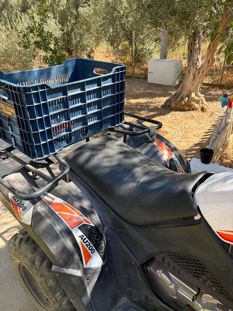 Sahibinden Satılık Mondial AU200 ATV (on-road) - 8