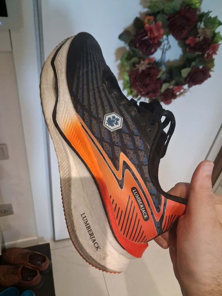 43 numara spor ayakkabı lumberjack - 4