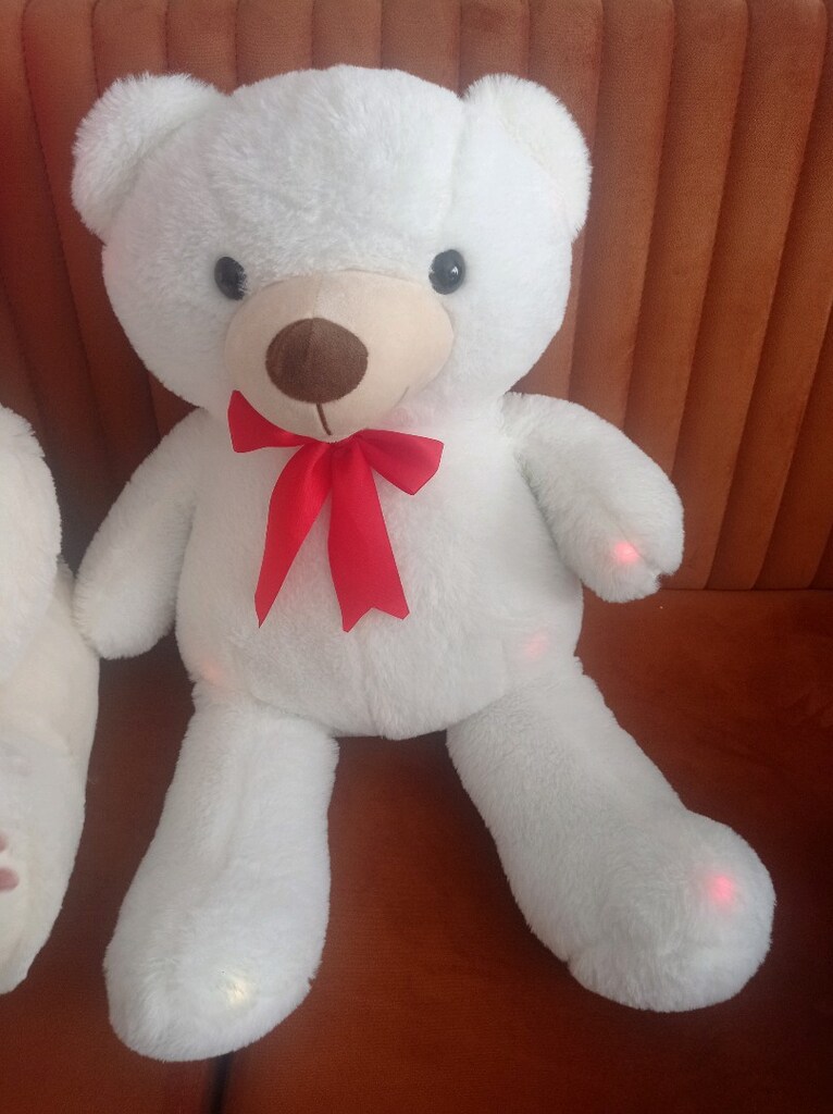 peluş ayı - 2