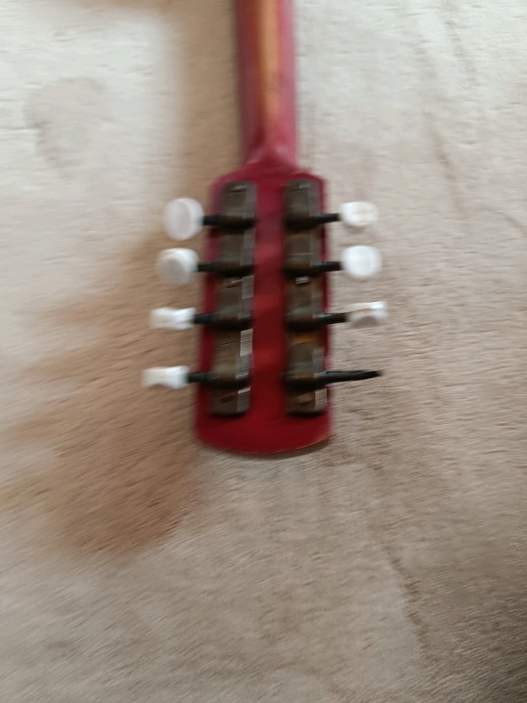 mandolin müzik aleti - 3