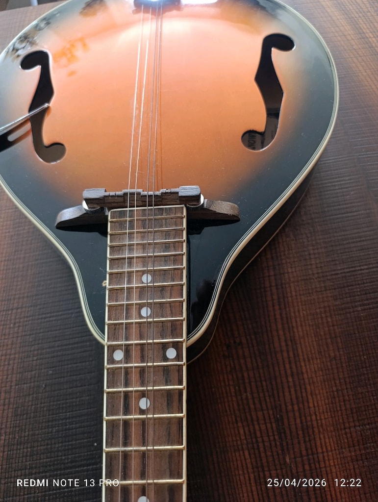 snowking mandolin - 2