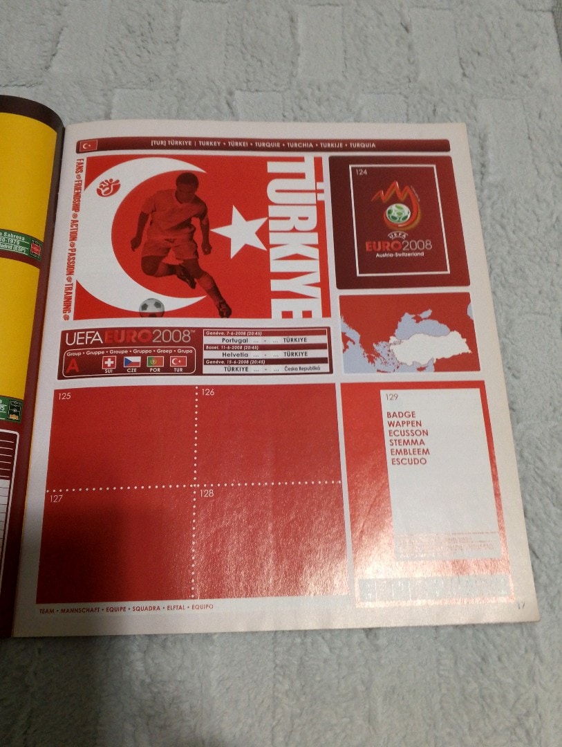panini euro 2008 Avrupa şampiyonası - 4
