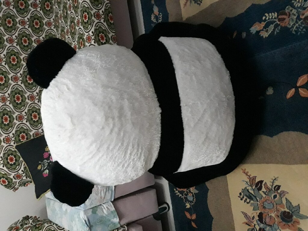 büyük panda ayı adres İstanbul Maltepe Fındıklı mahallesi - 5