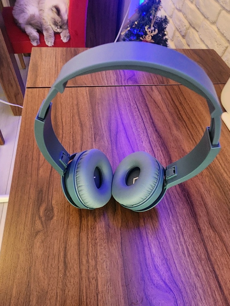 Philips Kablosuz Bluetooth Kulaklık - 3