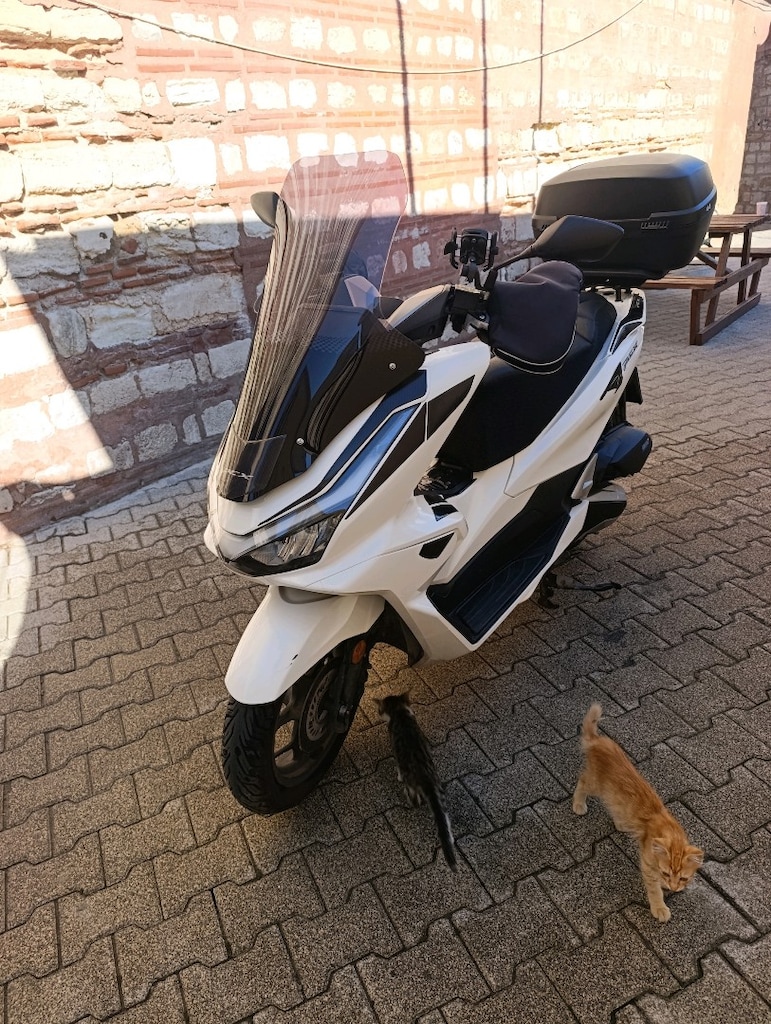 sahibinden satılık temiz pcx dx - 5
