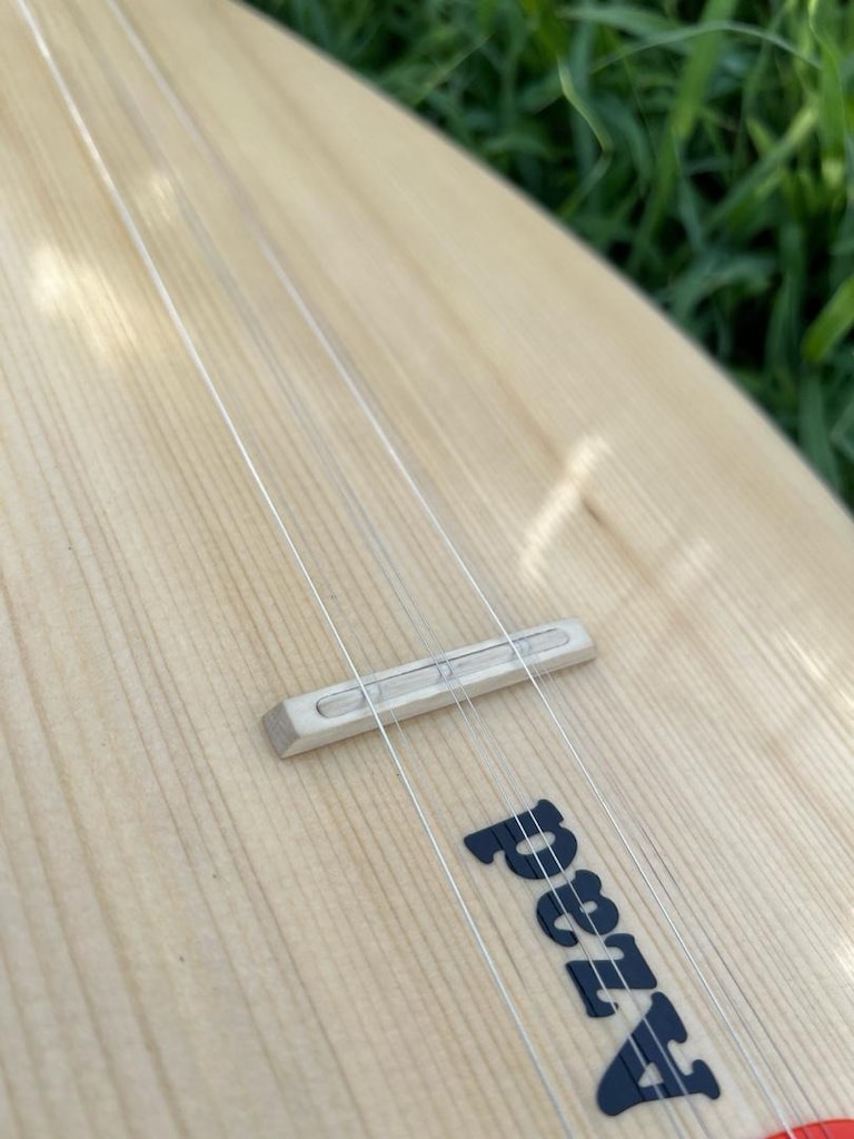 41 TEKNE KISA SAP BAĞLAMA - 8