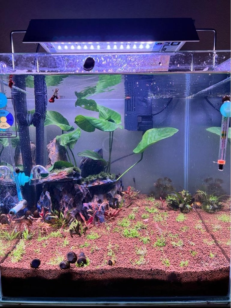 Akvaryum Set (Ultra Clear cam ve ekipmanlar)