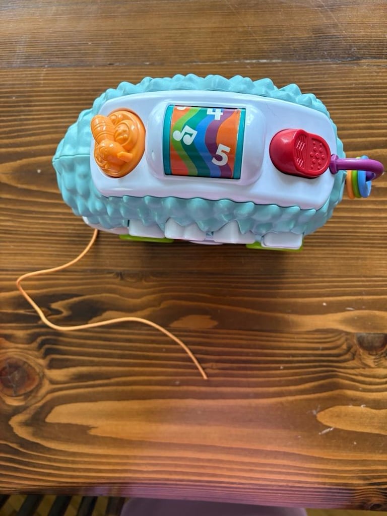 Fisher Price Gezgin Kirpi - 2
