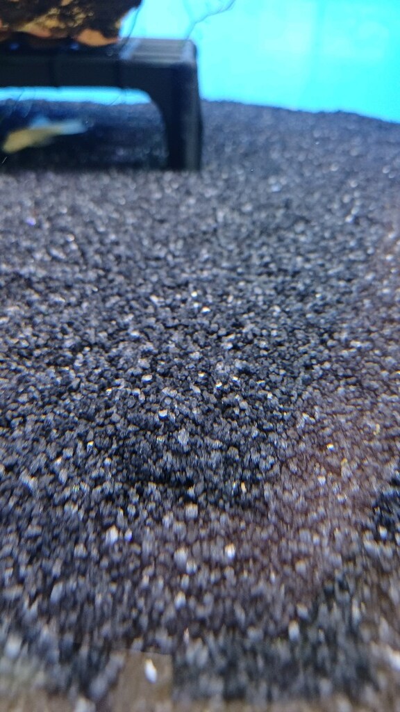 HAGEN BLACK DIAMOND 0.5-1 mm Akvaryum Kumu - 4