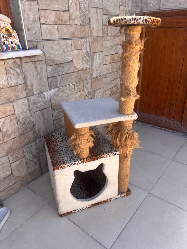 kedi evi - 2