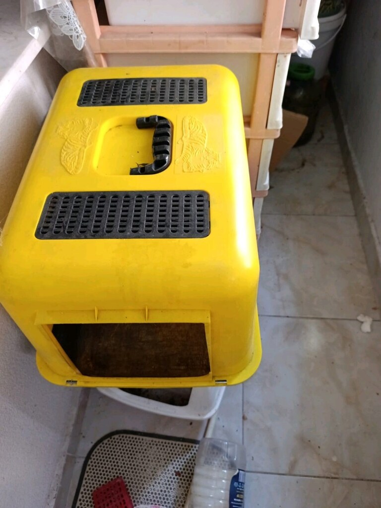 kedi yatağı ve kedi WC - 3