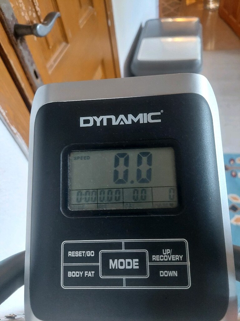 daynamic E - 16 eliptik bisiklet