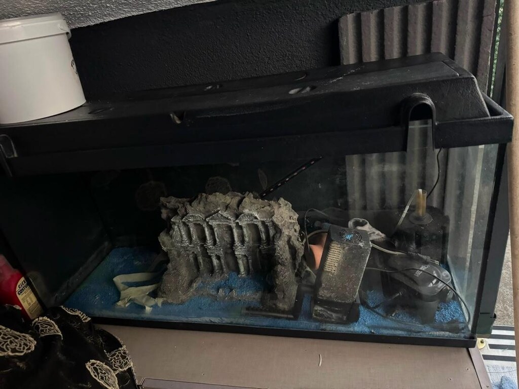 büyük akvaryum - 2