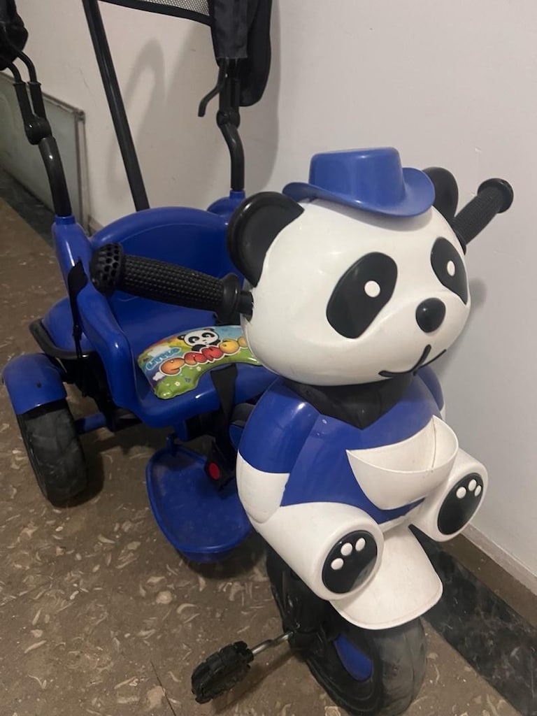 panda bisiklet - 3