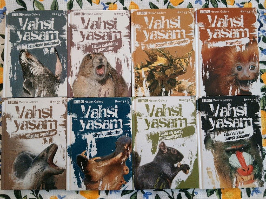 Vahşi Yaşam kitap seti - 4