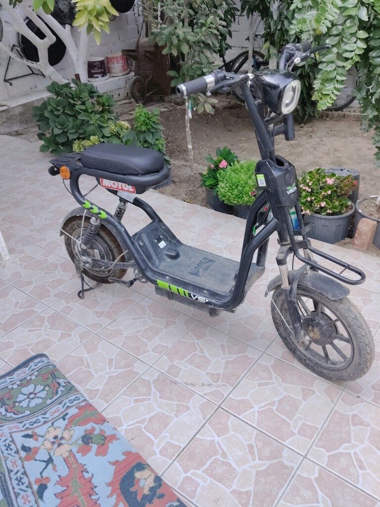 temiz volta - 5