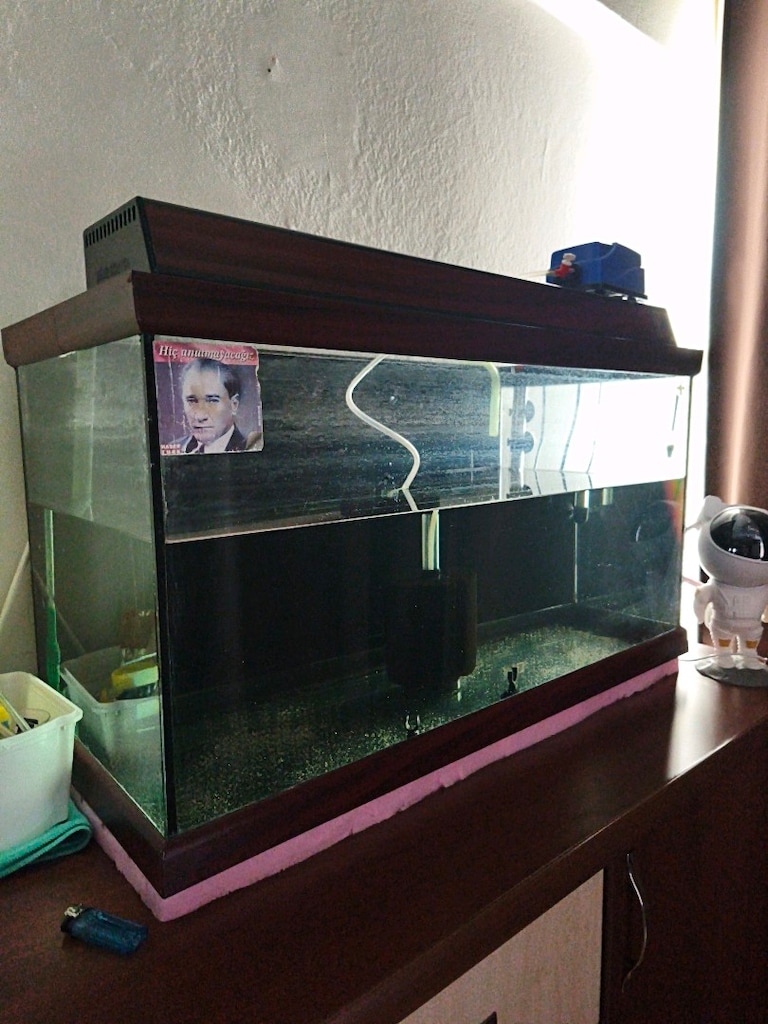 99 Litre Kapaklı Akvaryum Seti + Dış Filtre & Full Ekipman