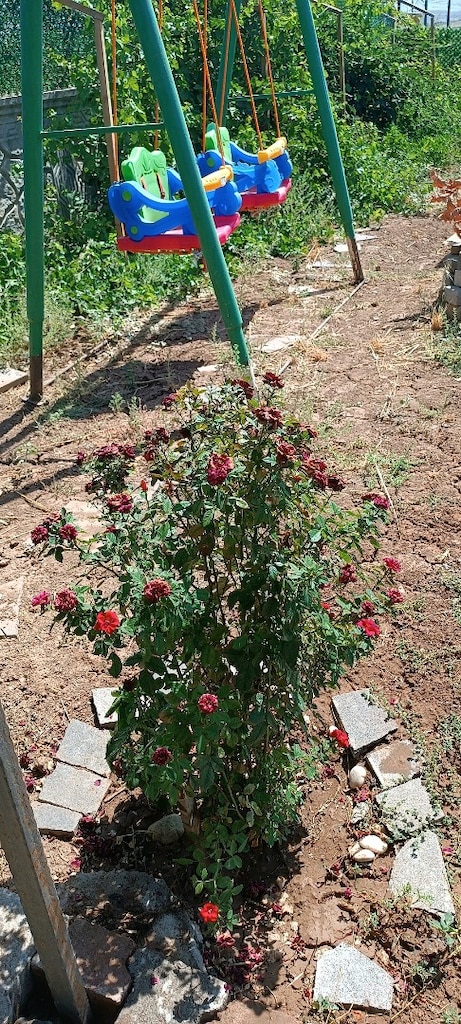 çok acil satılık binatlı köyüne hemen yakın kurulu bahçe - 7