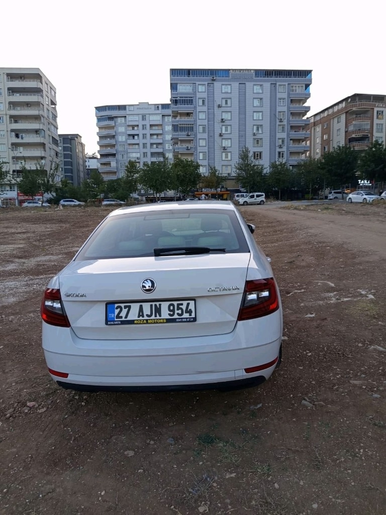 Memur arabası...Octavia Style 2017 Model Style Cr. - 7
